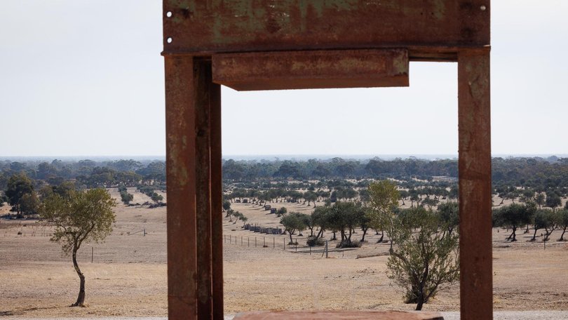 Nationals leader David Littleproud called it an unfair tax on farmers Picture: NewsWire / Nadir Kinani