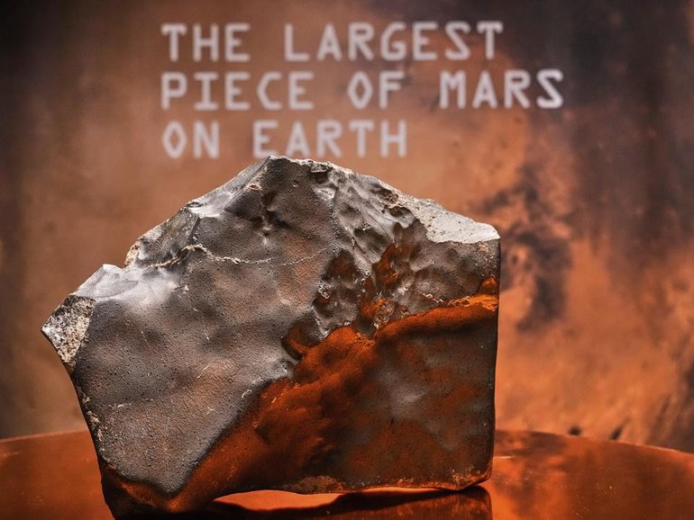 The largest piece of Mars ever found on earth is going under the hammer. (AP PHOTO)