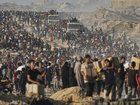 The United Nations says more than 800 people have been killed trying to access aid in Gaza. (AP PHOTO)