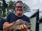 Craig Nolte from Ballina in NSW died after he was bitten by a bat.