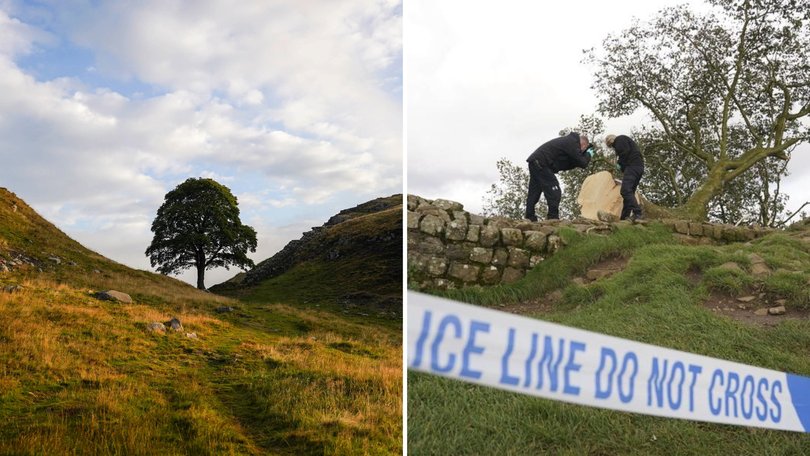 The two men who sparked global outrage after felling one of the most famous and well-loved trees have been jailed.