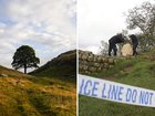 The two men who sparked global outrage after felling one of the most famous and well-loved trees have been jailed.