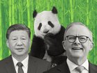 Anthony Albanese is on his last full day in China.