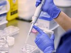 The new IVF procedure prevents the transfer of mutated genes from inside the mother's mitochondria. 