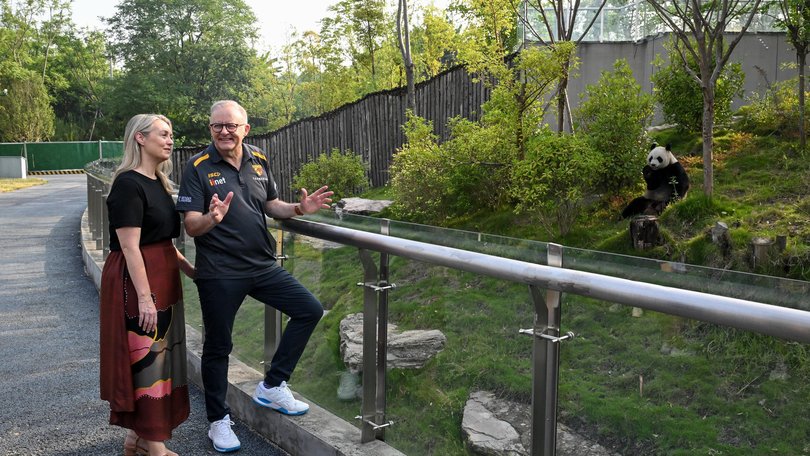 Anthony Albanese and Jodie Haydon at Su Xing at a park in Chengdu.