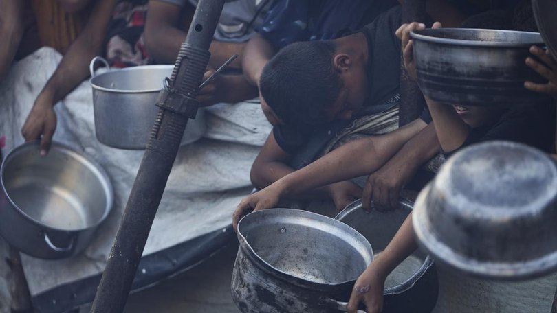 Twenty Palestinians died in a crush while struggling to get food at a community kitchen in Gaza