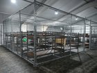 Inside the migrant detention center, dubbed Alligator Alcatraz.