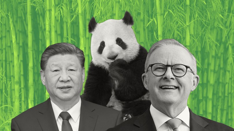 Anthony Albanese spent six days in China.