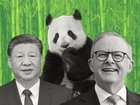 Anthony Albanese spent six days in China.