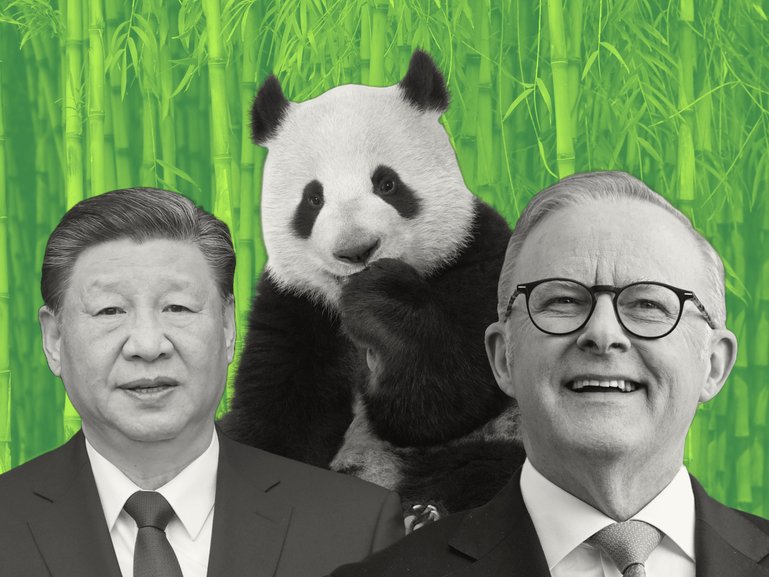 Anthony Albanese spent six days in China.