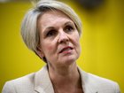 Federal Minister for Social Services Tanya Plibersek speaks to the media in Sydney on July 18.