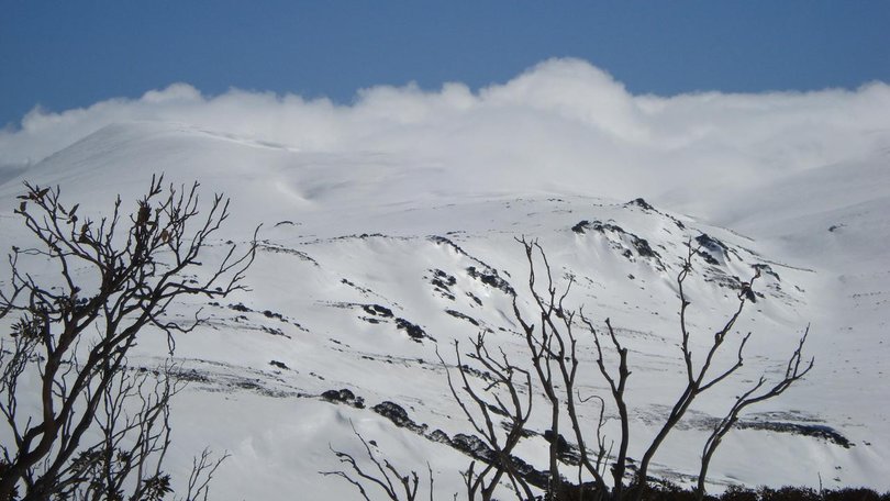 The wreckage of a crashed plane has been located in the NSW Snowy Mountains.