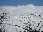 The wreckage of a crashed plane has been located in the NSW Snowy Mountains. 