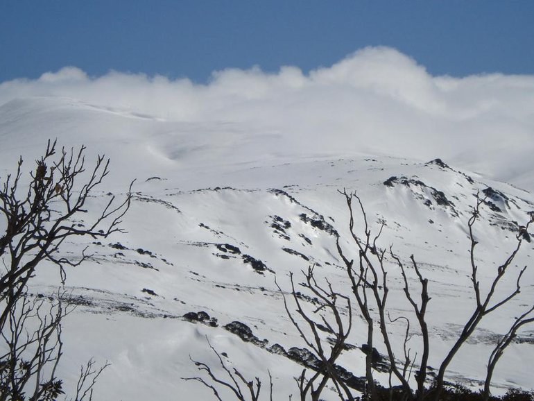 The wreckage of a crashed plane has been located in the NSW Snowy Mountains. 