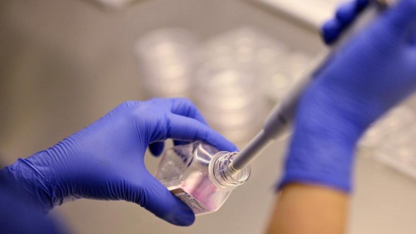 An investigation has confirmed IVF provider Genea's patient management systems have been hacked. (Dean Lewins/AAP PHOTOS)