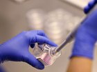 An investigation has confirmed IVF provider Genea's patient management systems have been hacked. (Dean Lewins/AAP PHOTOS)