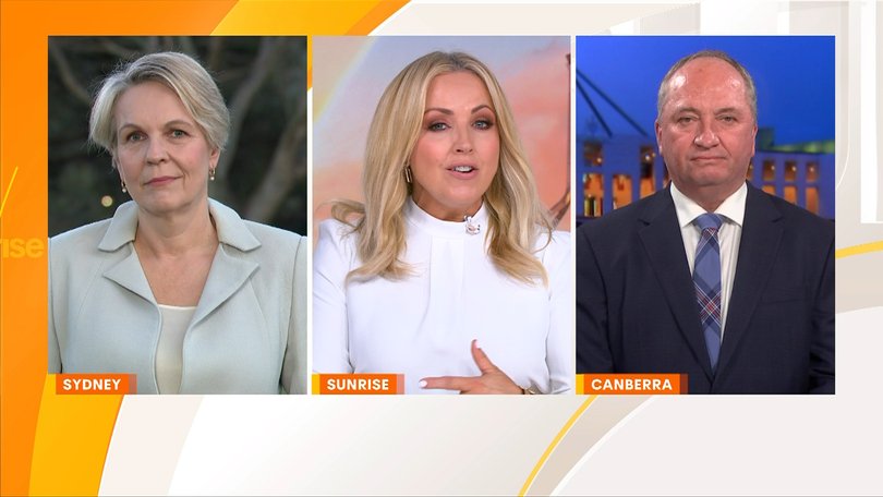 Minister for Social Services Tanya Plibersek (left) joined Nationals MP Barnaby Joyce (right) and Monique Wright on Sunrise to discuss the four-day week.
