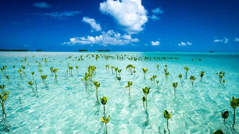 Tuvalu’s population is particularly exposed to the effects of climate change.