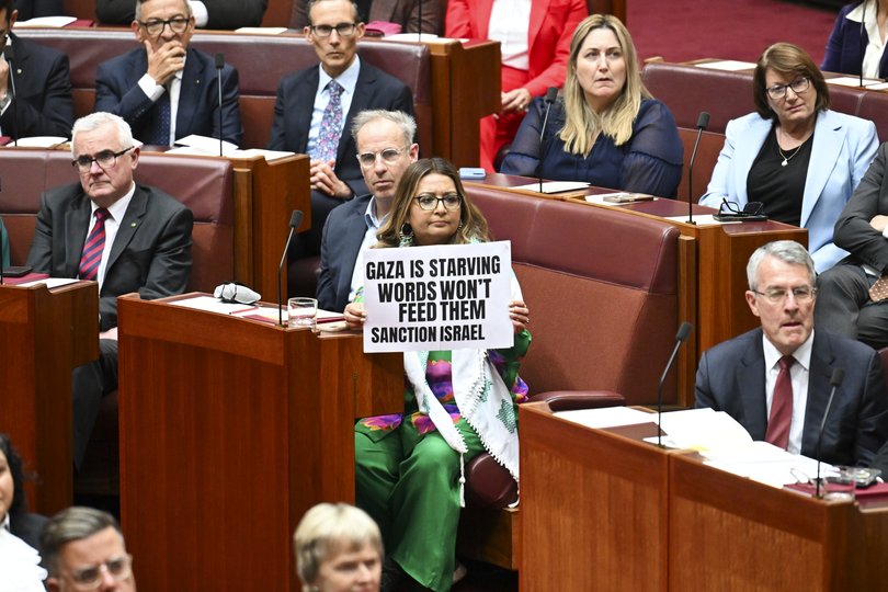 Senator Mehreen Faruqi holds up a pro Palestine sign during Governor-General Sam Mostyn’s address to the Senate.