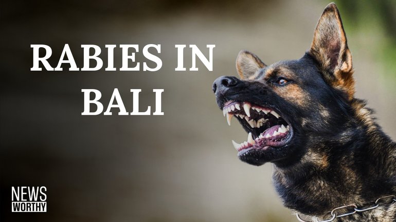 NEWS WORTHY: In today’s episode, Ben O’Shea reveals an urgent rabies warning for Bali as cases surge. Plus, Trump’s bizarre AI Obama arrest video.