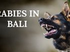 NEWS WORTHY: In today’s episode, Ben O’Shea reveals an urgent rabies warning for Bali as cases surge. Plus, Trump’s bizarre AI Obama arrest video.