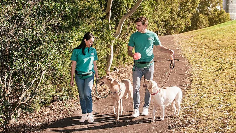 Mad Paws connects more than 300,000 pet parents with 70,000 pet care providers.