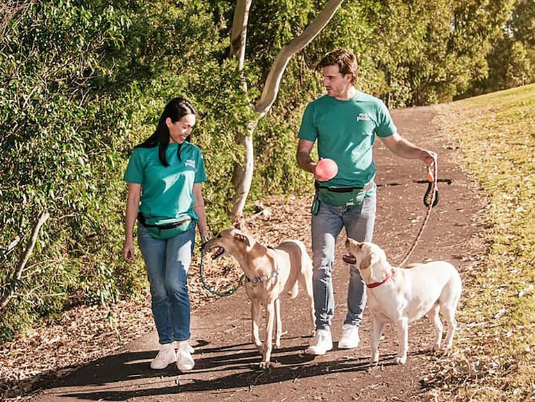 Mad Paws connects more than 300,000 pet parents with 70,000 pet care providers.