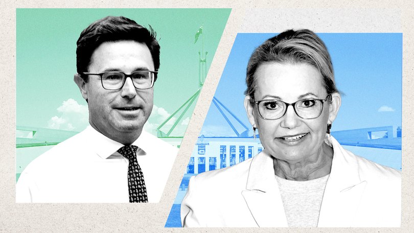 Nationals leader David Littleproud and Sussan Ley should take a leaf out of Queensland Premier David Crisafulli’s book, according to Liberal party strategist Tony Barry.