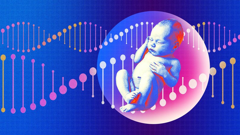 Investors say genetic prediction services for embryos, used by Elon Musk and others, are a trust fund for future children. The Nightly