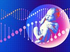 Investors say genetic prediction services for embryos, used by Elon Musk and others, are a trust fund for future children.  The Nightly