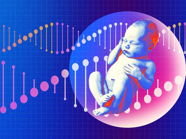 Investors say genetic prediction services for embryos, used by Elon Musk and others, are a trust fund for future children.  The Nightly