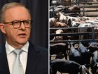 Australia has fully lifted a ban on US beef imports as it tries to soften the blow of US tariffs without putting the nation’s biosecurity at risk.