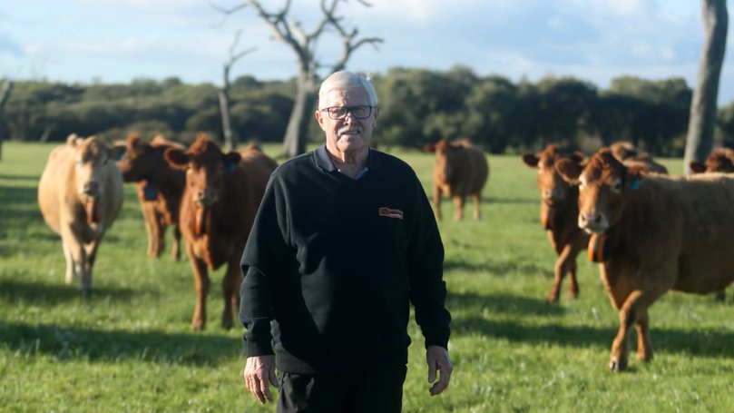 Cattle farmer Kevin Nettleton of Boyanup.