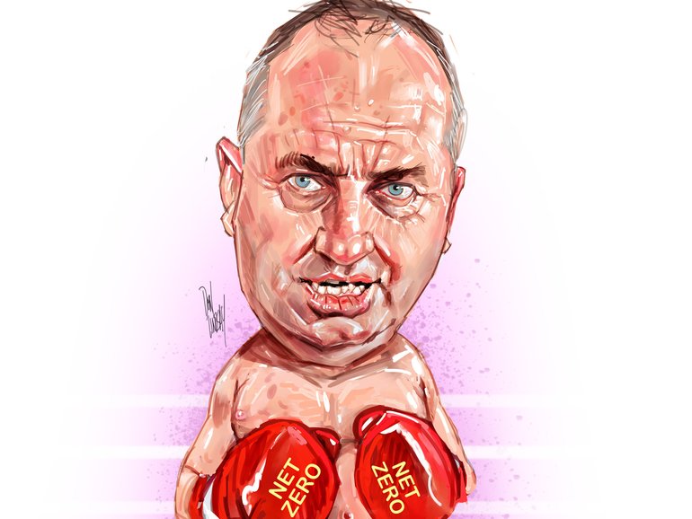 Barnaby Joyce is coming out swinging about Net Zero.