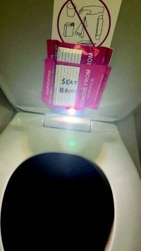 Toilet cam flight attendant jailed for filming minors.