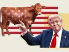 US President Donald Trump has declared a beef victory and a new “golden age of America”.