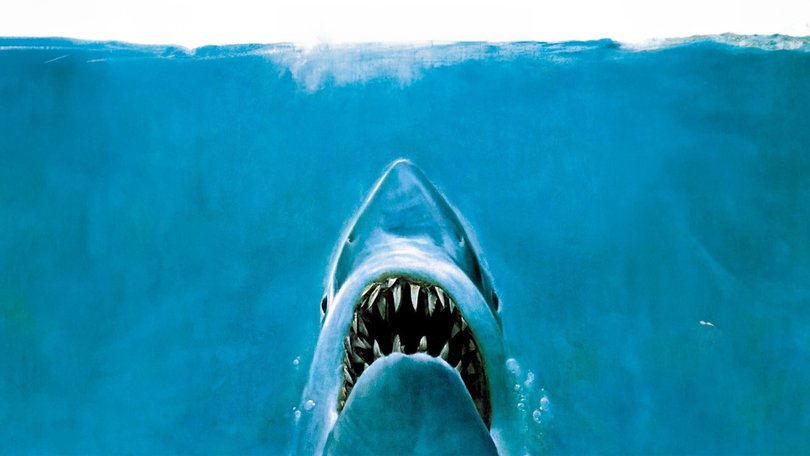 The lack of research on and public understanding about sharks in the 1970s allowed them to become whatever Hollywood imagined. 
