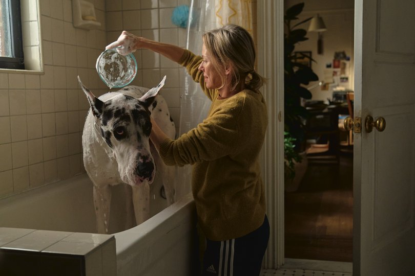 Naomi Watts and Bing play Iris and Apollo in The Friend.