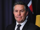 Health Minister Mark Butler has described the evolving US tariff threat on Australian pharmaceutical exports as a ‘very significant challenge’ amid Donald Trump’s latest warning.