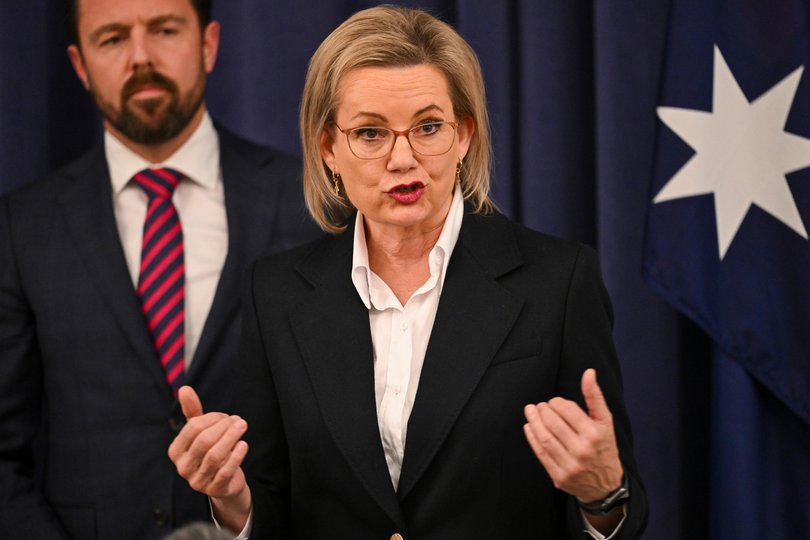 Leader of the Opposition Sussan Ley, Senator Jonathon Duniam and Dan Tehan MP hold a press conference at Parliament House in Canberra. 