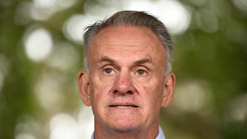 Mark Latham’s AVO battle with his ex-girlfriend has widened to include a billionaire.