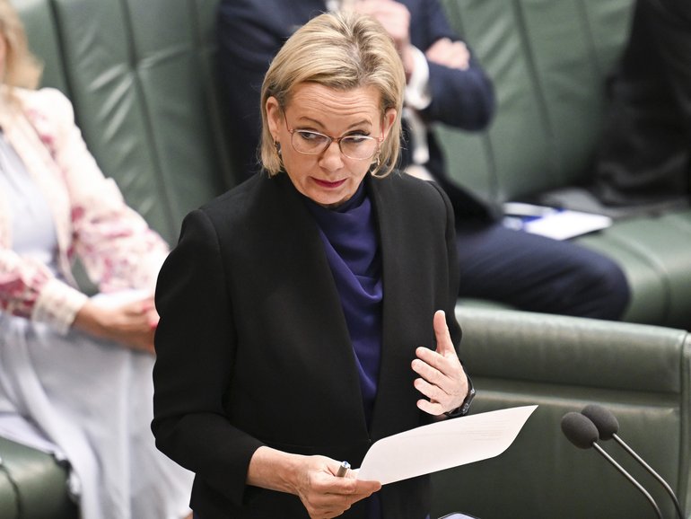 Leader of the Opposition Sussan Ley tears strips off Energy Minister Chris Bowen during Question Time.