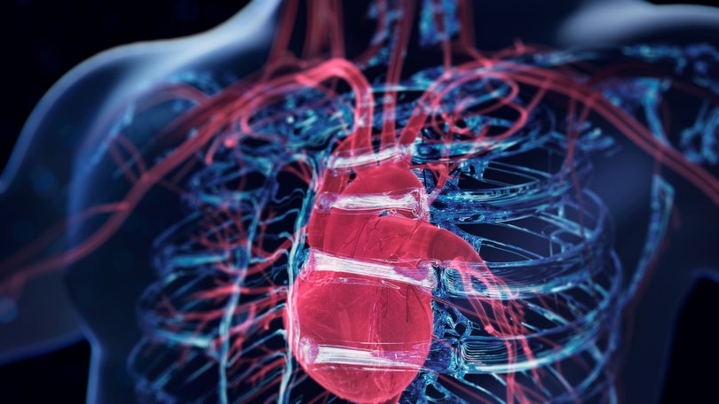 Cardiologist and Scientist Eric Topol, a longetivity expert explains 10 ways to prevent heart disease.