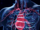 Cardiologist and Scientist  Eric Topol, a longetivity expert explains 10 ways to prevent heart disease.