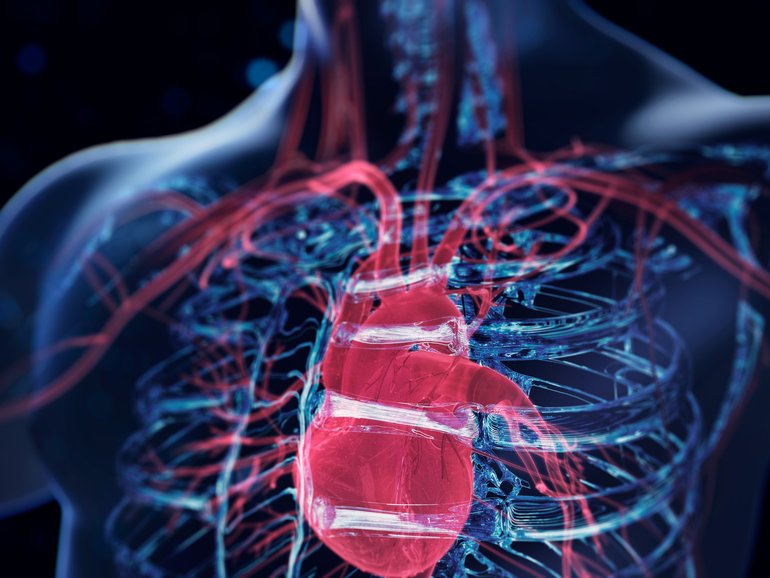 Cardiologist and Scientist  Eric Topol, a longetivity expert explains 10 ways to prevent heart disease.