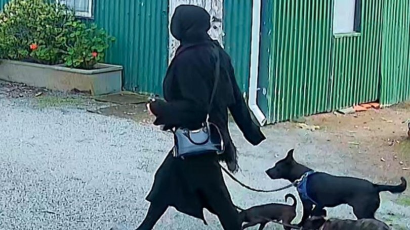 Ms Chesser was captured on CCTV walking with dogs in the aftermath of the alleged murder. Picture SA Police