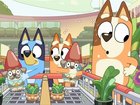 An episode of the kids show Bluey has been stripped from a streaming platform due to a collaboration with Bunnings.