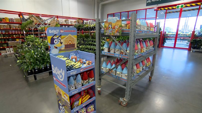 Bunnings is currently collaborating with Bluey, selling a host of merchandise including garden gnomes, hats and toys.