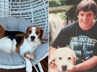 On Thursday, a human skull believed to be Julian Story’s was found by a beagle.