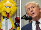 America’s Corporation for Public Broadcasting is closing after the US government withdrew funding.